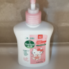 滴露(Dettol)健康抑菌洗手液 滋润倍护 250g Hello Kitty 限定版儿童宝宝家用抑菌洗手液 易冲洗晒单图