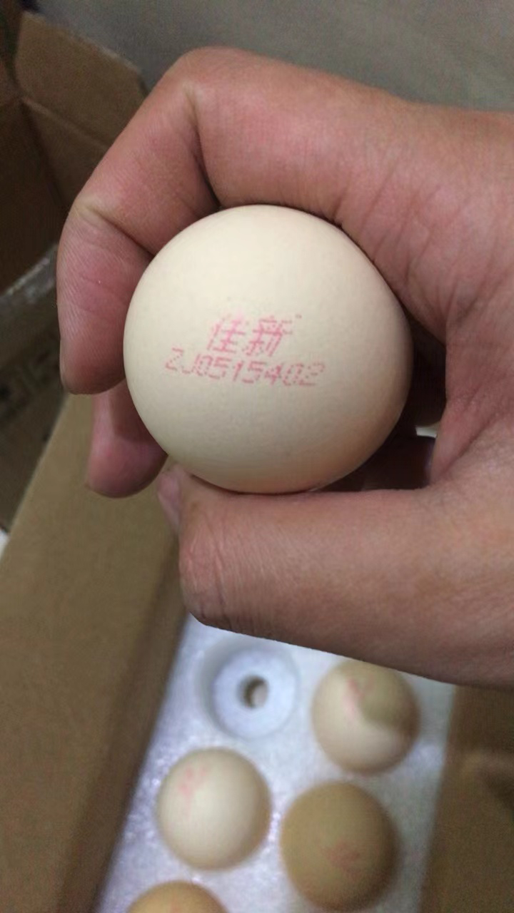 苗佳新可生食蛋绿色无抗鲜鸡蛋无菌蛋20枚/1000g晒单图