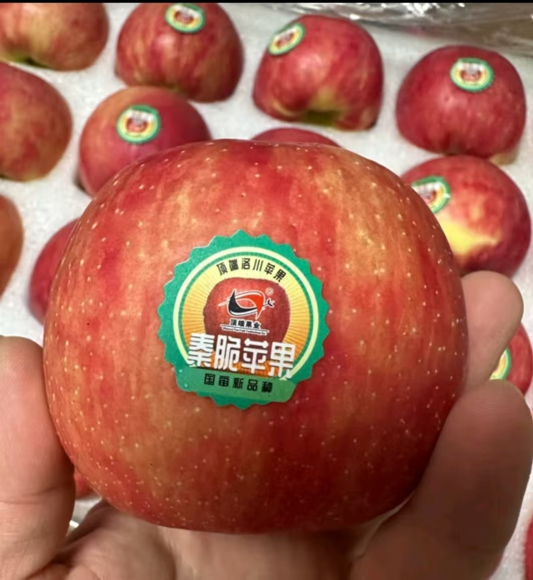 [新品种秦脆苹果]陕西洛川秦脆苹果水果20枚85mm大果 新鲜水果晒单图