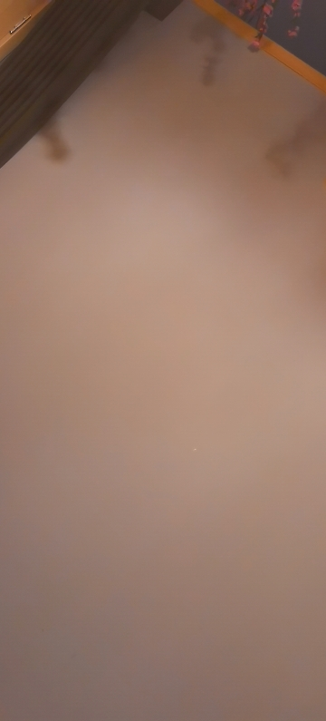 帮客材配法迪欧燃热JSQ25-13DS/RS/CH/NS、13D2/PL、16CH/NS/RS/RH/UL1感应针反馈针晒单图