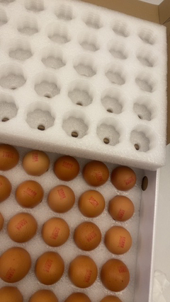 苏鲜生 [苏宁自有品牌]可生食无抗富硒鸡蛋1.71千克(30枚)晒单图