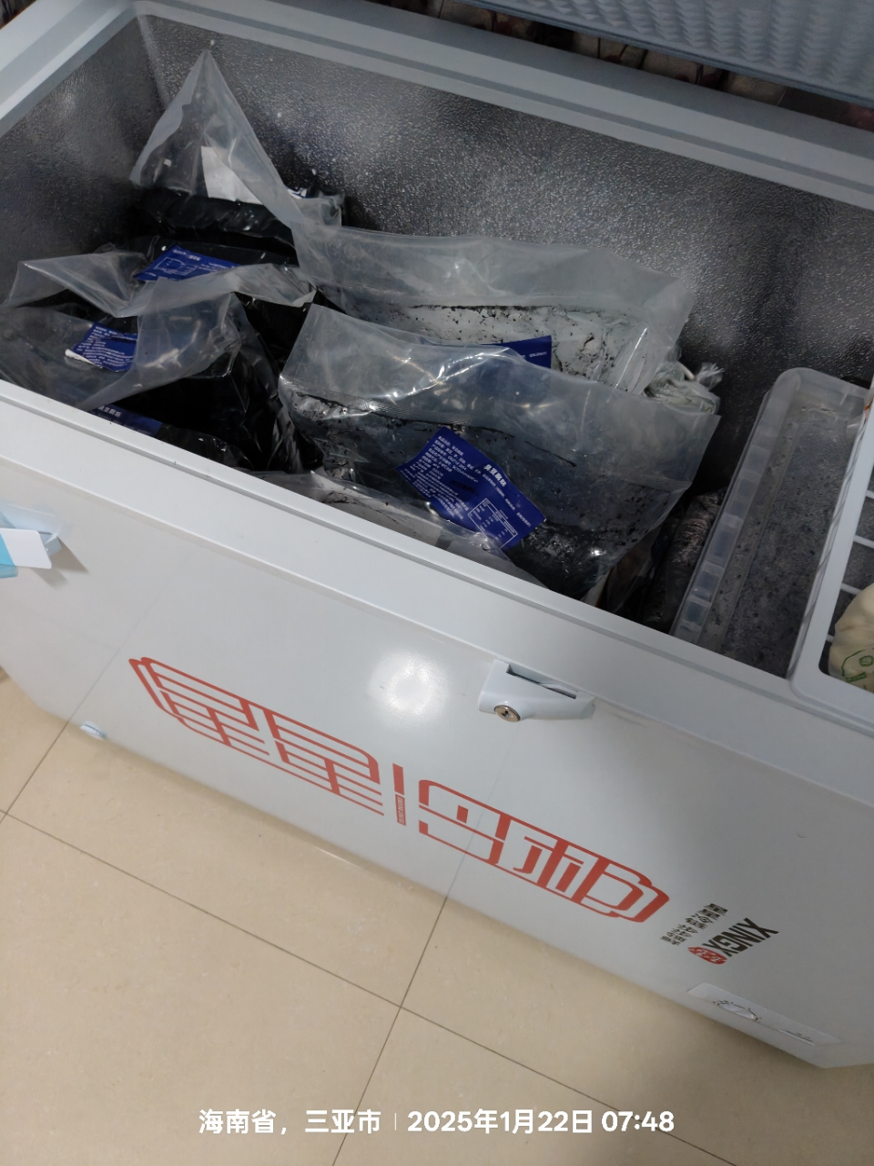 星星(XINGX) BD/BC-305E 305升 商用大柜 顶开门 冷藏冷冻转换柜 强效压缩机 卧式冷柜晒单图