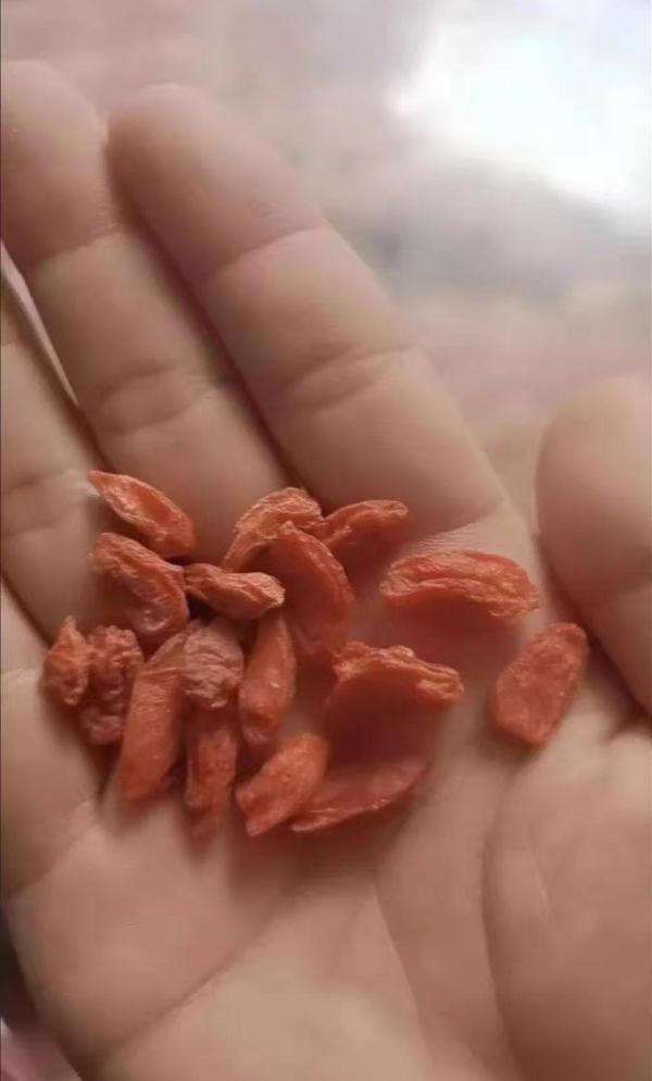 北京同仁堂头茬新货宁夏中宁红枸杞100g/瓶装 免洗大颗粒 苏宁自营品质保障特产级苟杞子茶晒单图