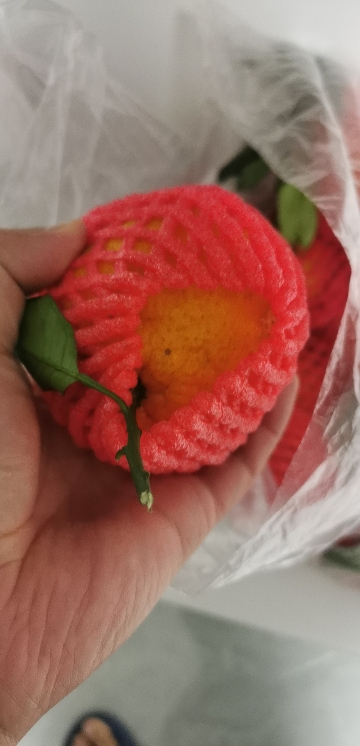 [鲜贝达]不知火丑橘]5斤[单果70mm以上] 丑桔 丑橘子 新鲜水果 当季柑橘晒单图