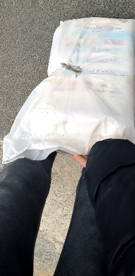 日本进口花王(Merries)妙而舒经典款纸尿裤加大号XL44片(12-17kg)新生儿出生婴儿男女宝宝纸尿裤尿不湿晒单图