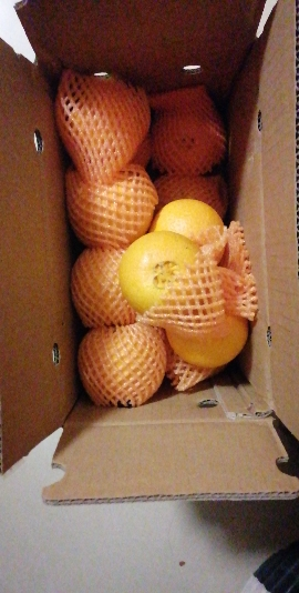 [中华特色]秭归馆 一苇农佳秭归脐橙九月红5斤装60-70mm 新鲜采摘 坏果包赔 华中晒单图