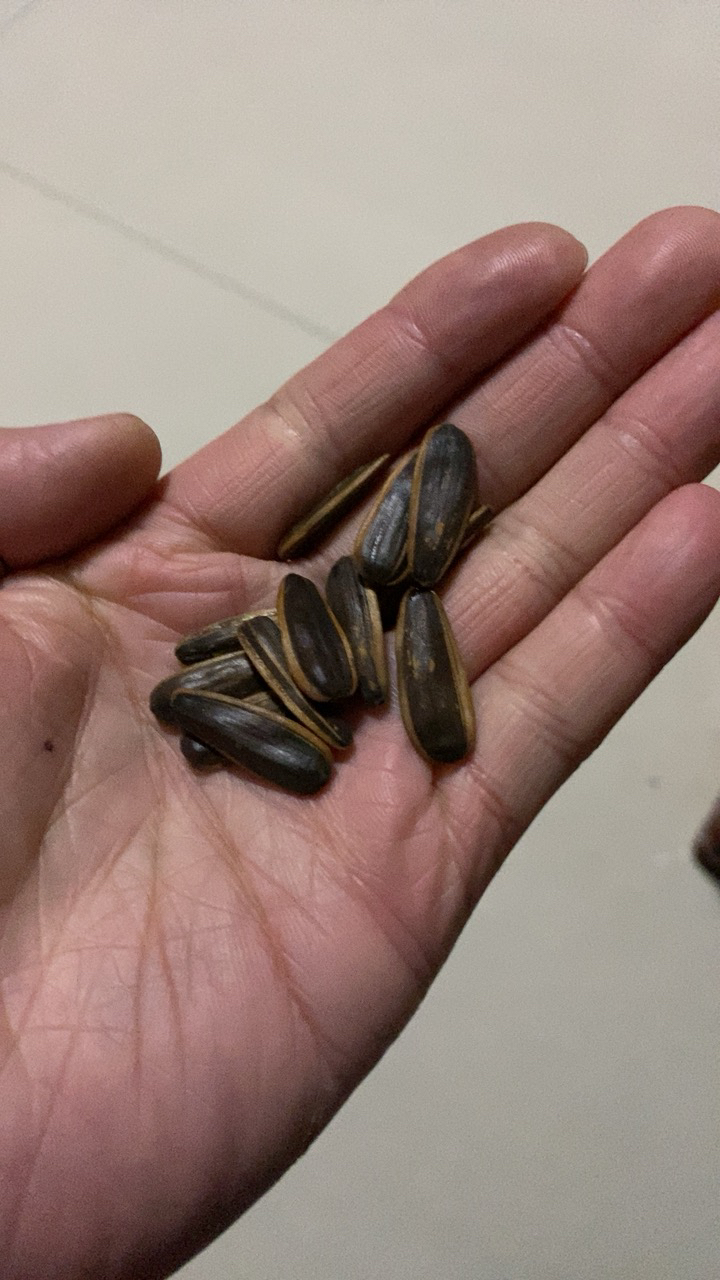 [19.9任选10件]刻凡焦糖瓜子60g*1袋瓜子零食寝室追剧休闲好吃的解馋小零食晒单图
