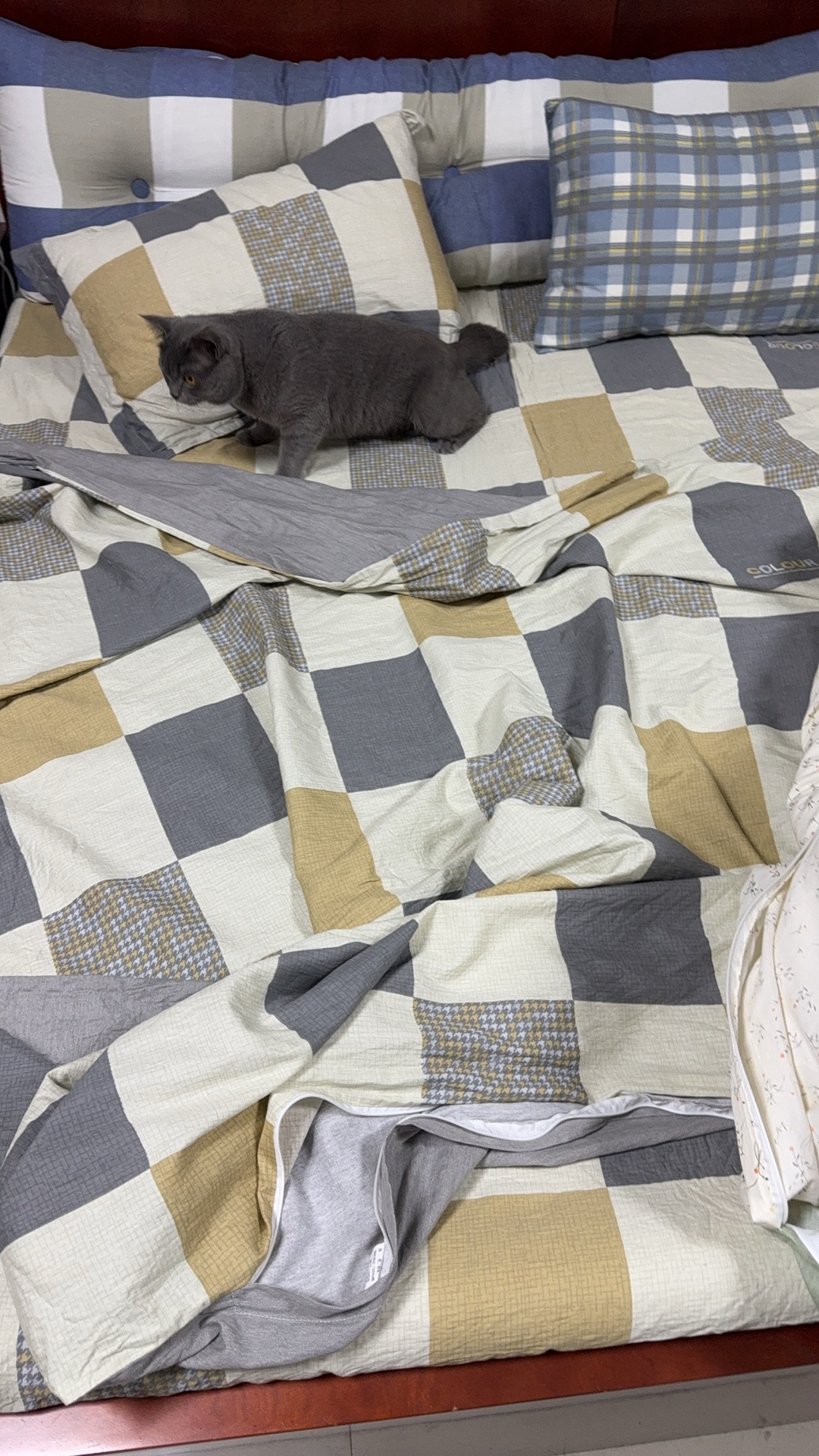 统一茄皇方便面新疆番茄鸡蛋面西红柿桶装泡面方便速食夜宵120g*6桶晒单图