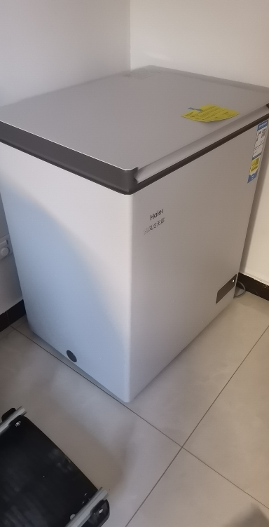 海尔(Haier)132升家用卧式冰柜冷柜小冰箱 PCM内胆 深冷速冻一级能效BC/BD-132WGHEG9DA晒单图