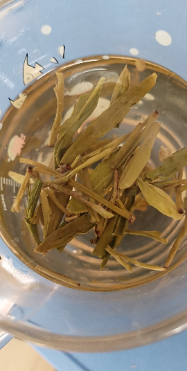 狮峰牌2025新茶龙井绿茶雨前龙井茶叶250g特产正宗级春茶晒单图