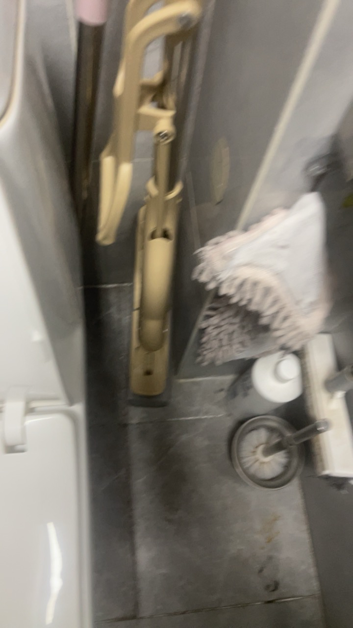 美丽雅maryya 对折挤水胶棉拖把 家用免手洗 PVA拖把及拖把头晒单图