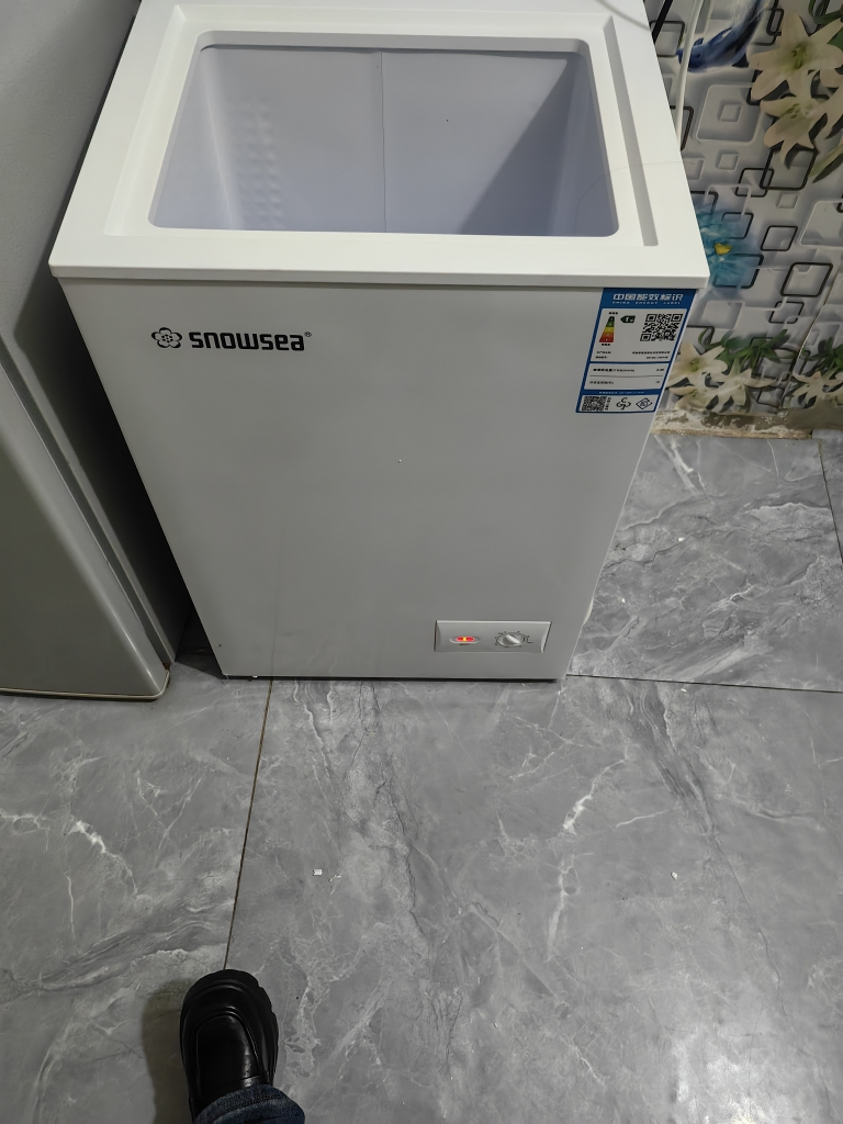 香雪海 迷你冰柜 冰柜小型家用 母乳储藏冷柜 一级能效 冷藏冷冻转换 迷你单温柜 小冰柜 BD/BC-72S138晒单图