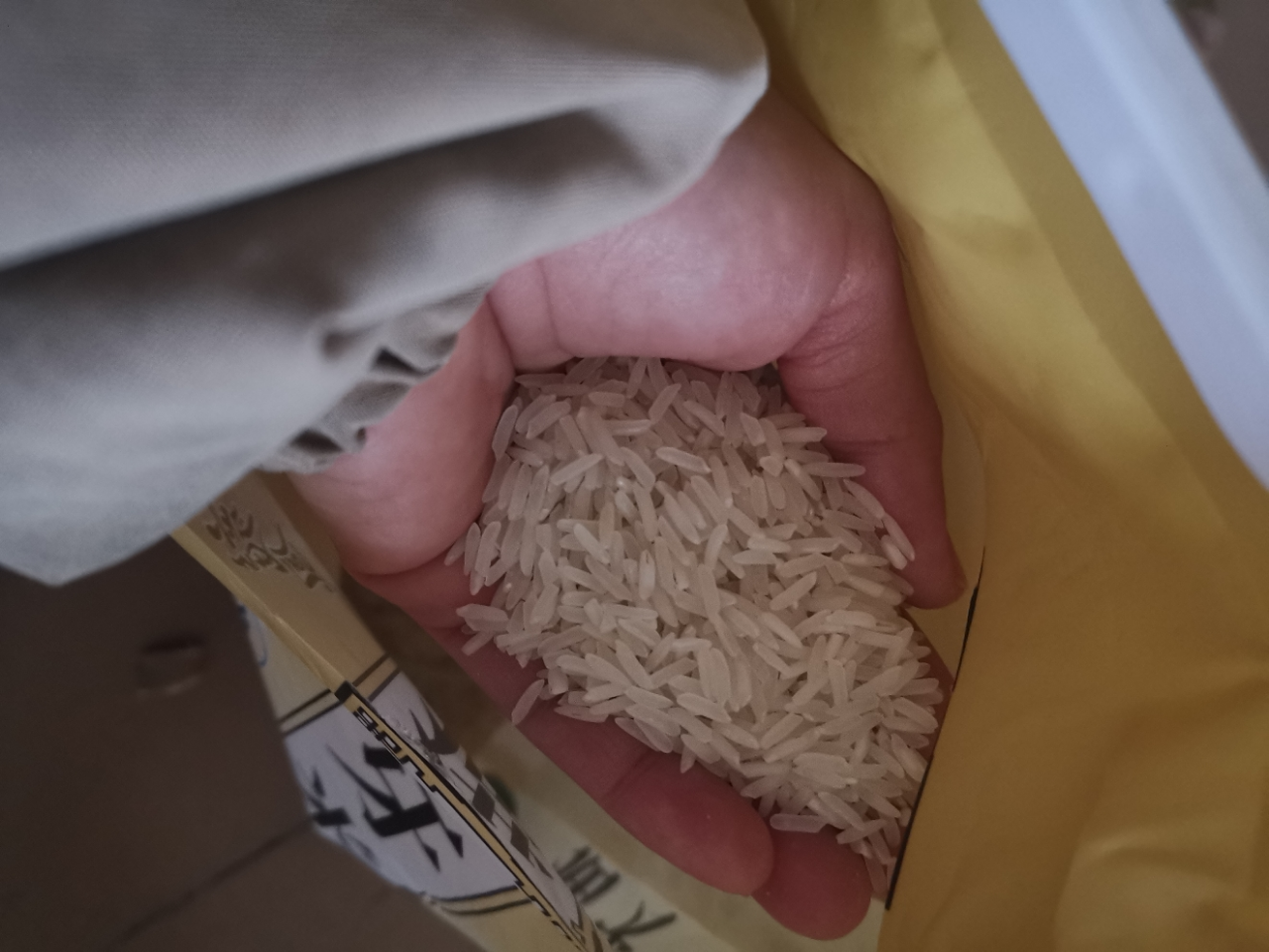 绿宝贡[新品低价]5斤装猫牙香米新鲜正宗农家长粒香优质大米南方大米晒单图