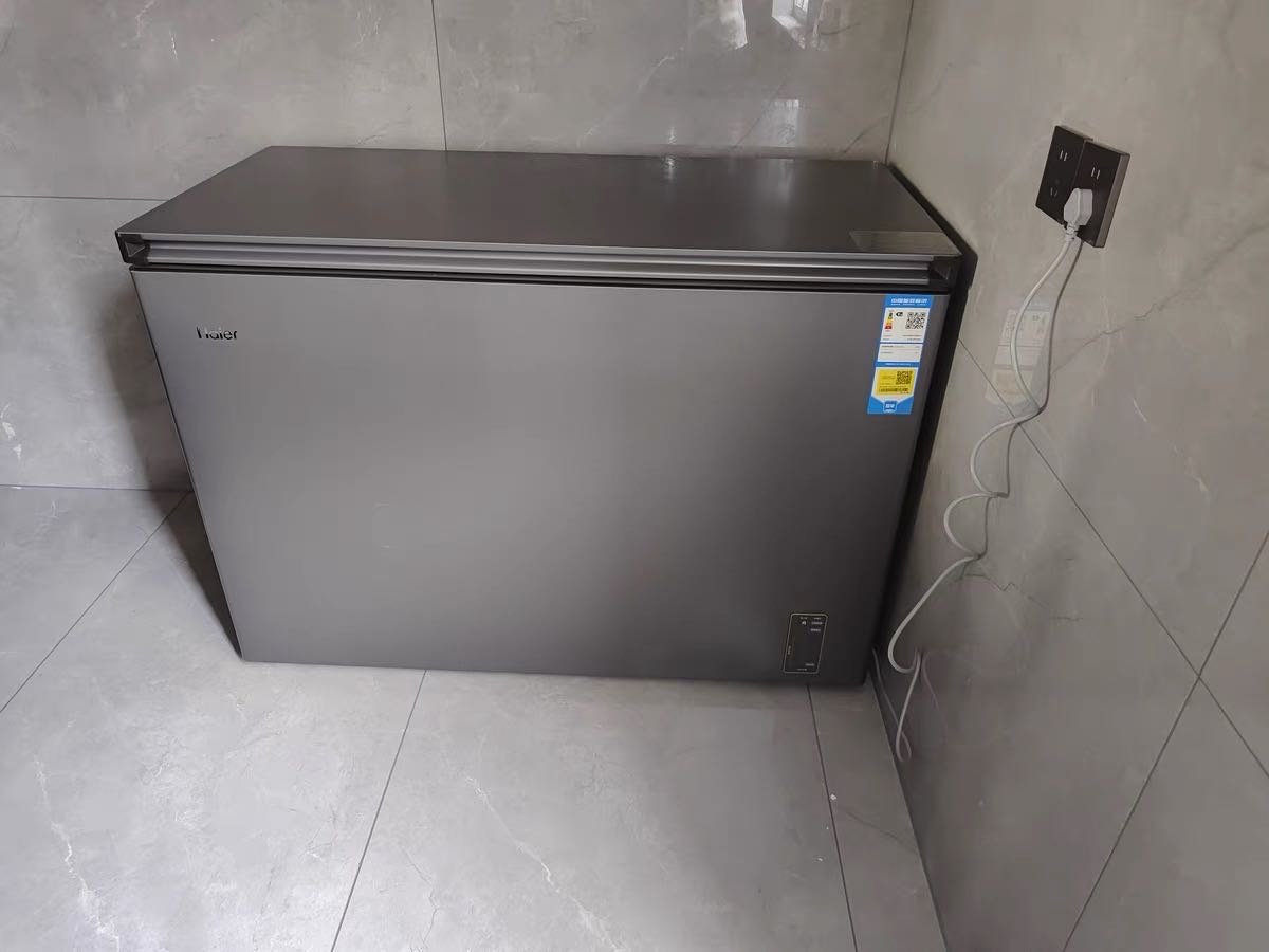 海尔(Haier) BC/BD-300WGHEC晒单图