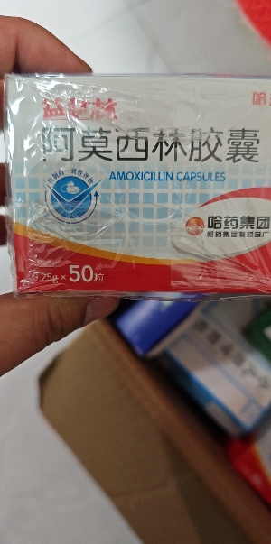 哈药 益萨林 阿莫西林胶囊 0.25g*50粒/盒晒单图