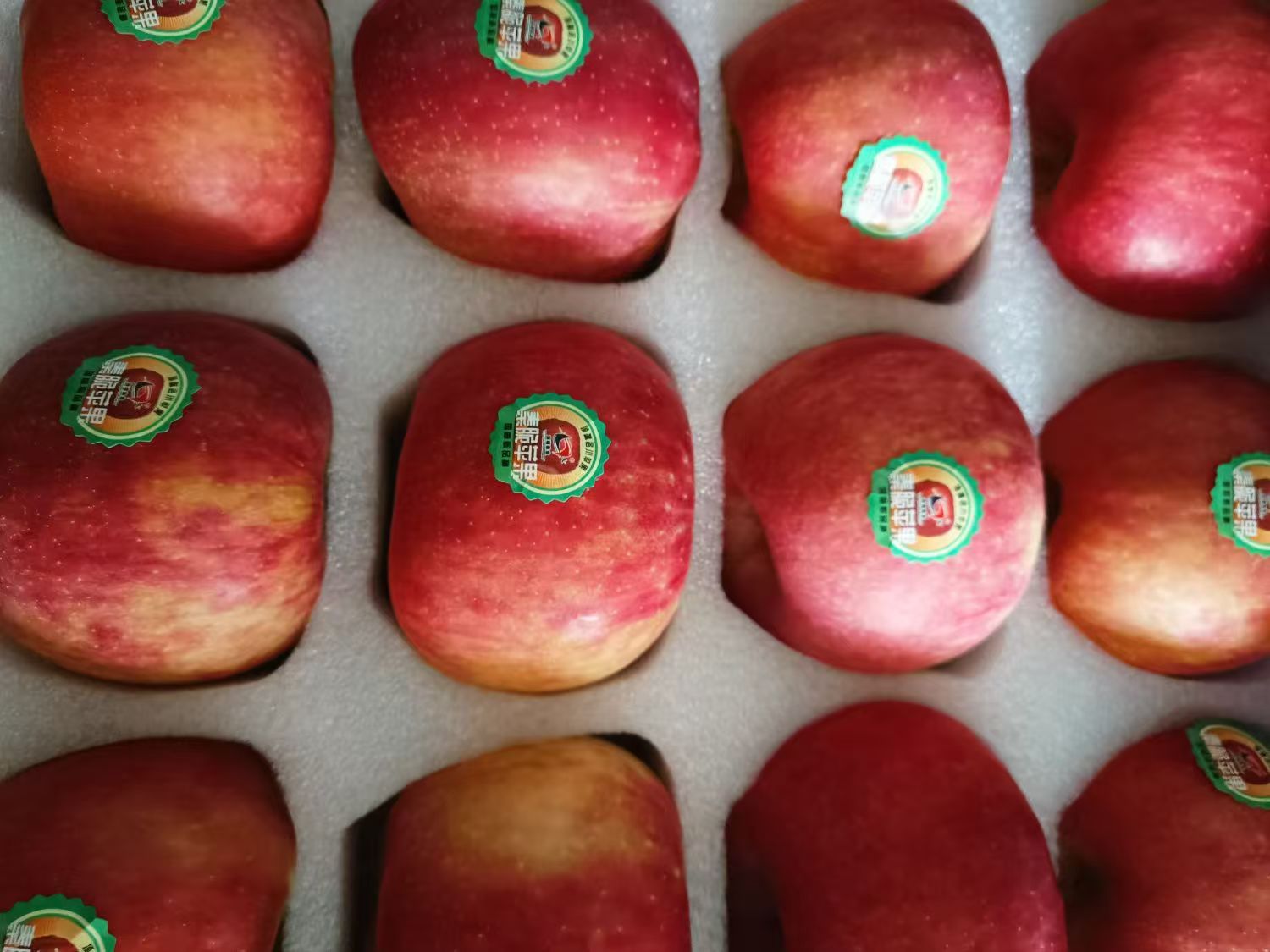 陕西延安洛川新品种秦脆苹果水果 16枚85mm大果 新鲜水果礼盒晒单图