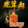 权禄梅花鹿鹿茸血酒100ML/瓶养生小酒鹿茸血鲜酿养生酒泡酒送礼长辈父母家长中老年男性养生滋补鹿场直销非白酒非保健酒晒单图