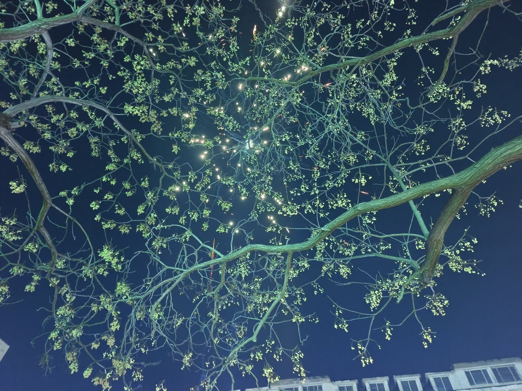 苏鲜生 贝贝南瓜净重5斤*3箱晒单图