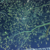 苏鲜生 贝贝南瓜净重5斤*3箱晒单图