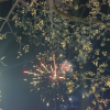 苏鲜生 贝贝南瓜净重5斤*3箱晒单图