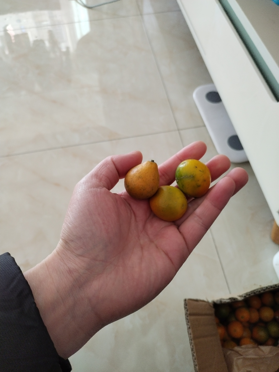 好丽友蛋黄派30枚散装糕点夹心早餐蛋糕零食小吃甜点心休闲食品晒单图