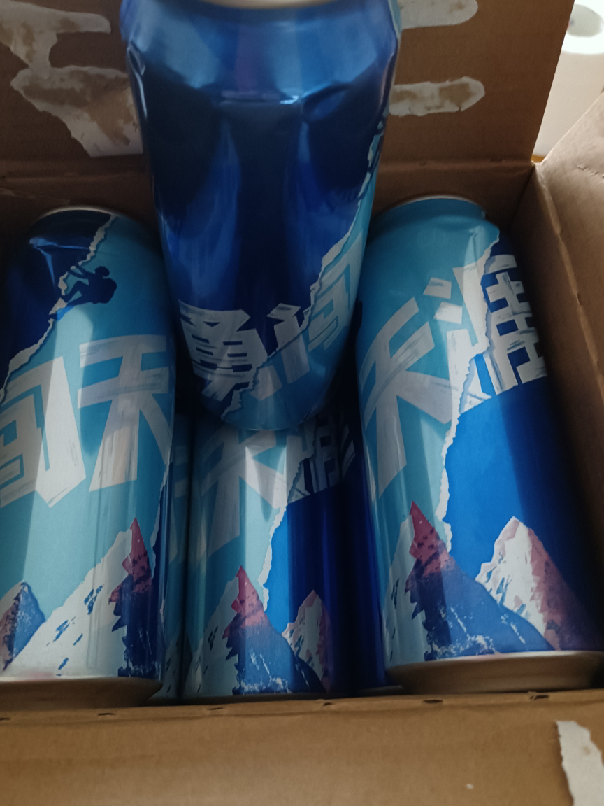 雪花啤酒勇闯天涯500ml*12听整箱装晒单图