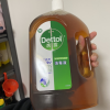 滴露(Dettol)消毒液1.8L 杀菌除螨 家居室内 宠物环境消毒 儿童宝宝内衣 衣物除菌剂晒单图