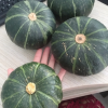 苏鲜生 贝贝南瓜净重5斤*3箱晒单图