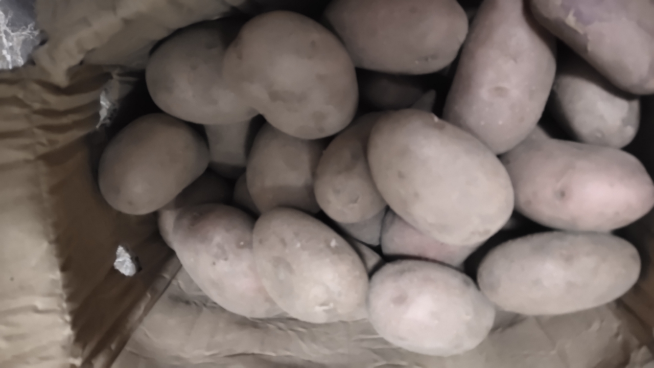 [西沛生鲜]新鲜云南红皮小土豆 大果 净重8.5斤装 单果100-200g 新鲜蔬菜 农家种植 西沛晒单图