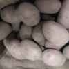 [西沛生鲜]新鲜云南红皮小土豆 大果 净重8.5斤装 单果100-200g 新鲜蔬菜 农家种植 西沛晒单图