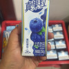 蒙牛 真果粒牛奶饮品 蓝莓味 250ml*12盒晒单图