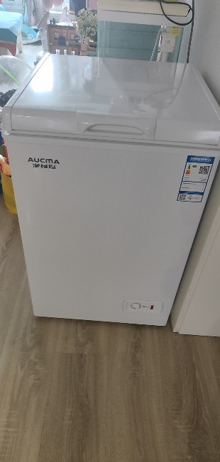 澳柯玛100升冷柜家用小冰柜全冷冻冷藏两用卧式一级单温冷柜冰箱晒单图