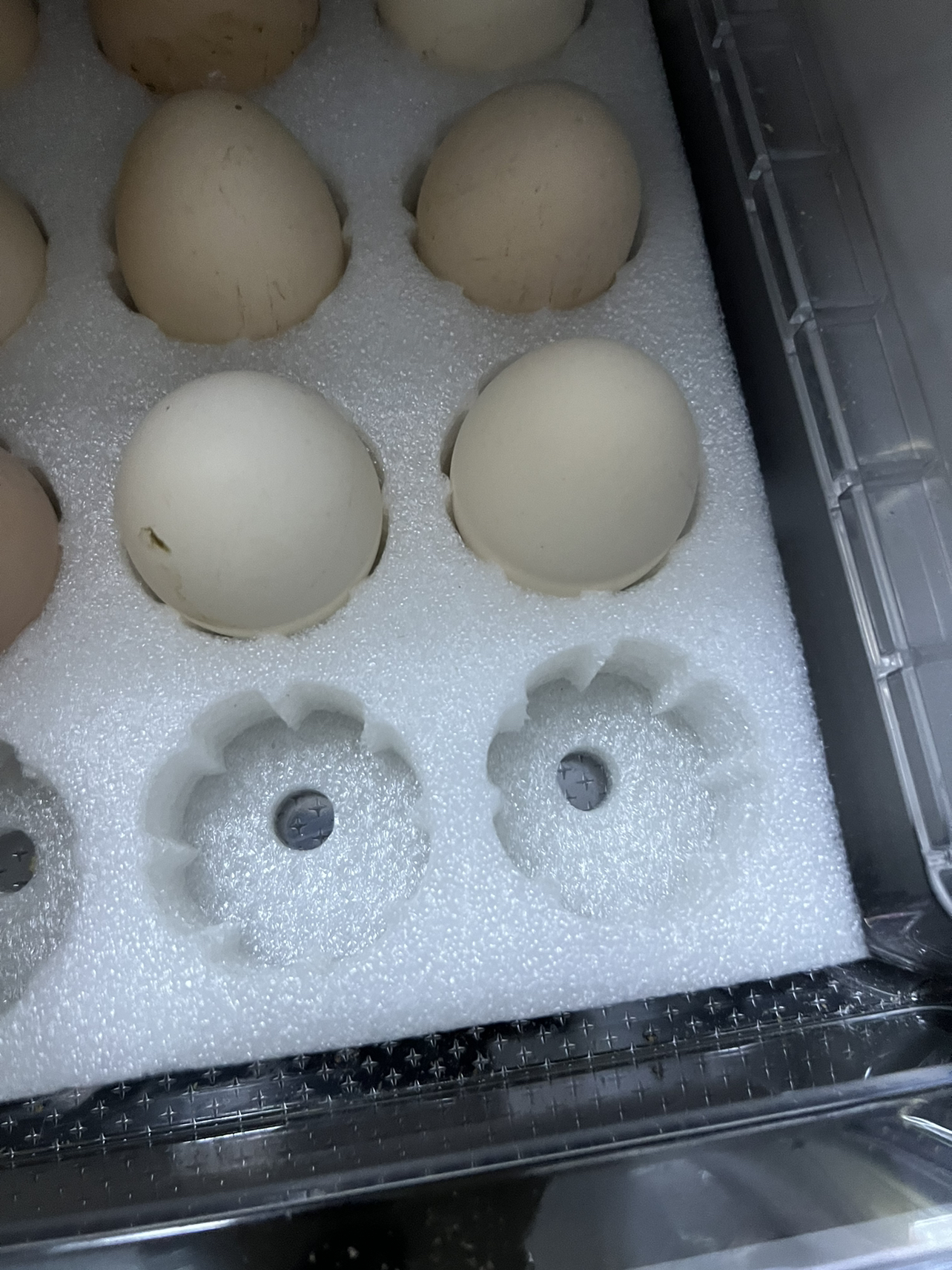 [苏鲜生推荐] 雀淘 可生食鲜鸡蛋30枚无沙门氏菌无抗生素溏心蛋营养早餐晒单图