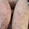 [苏鲜生]山东烟薯25号 净重5斤 中大果 红心糖心蜜薯 新鲜农家沙地超甜地瓜山芋晒单图