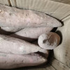 [苏鲜生]山东烟薯25号 净重5斤 中大果 红心糖心蜜薯 新鲜农家沙地超甜地瓜山芋晒单图