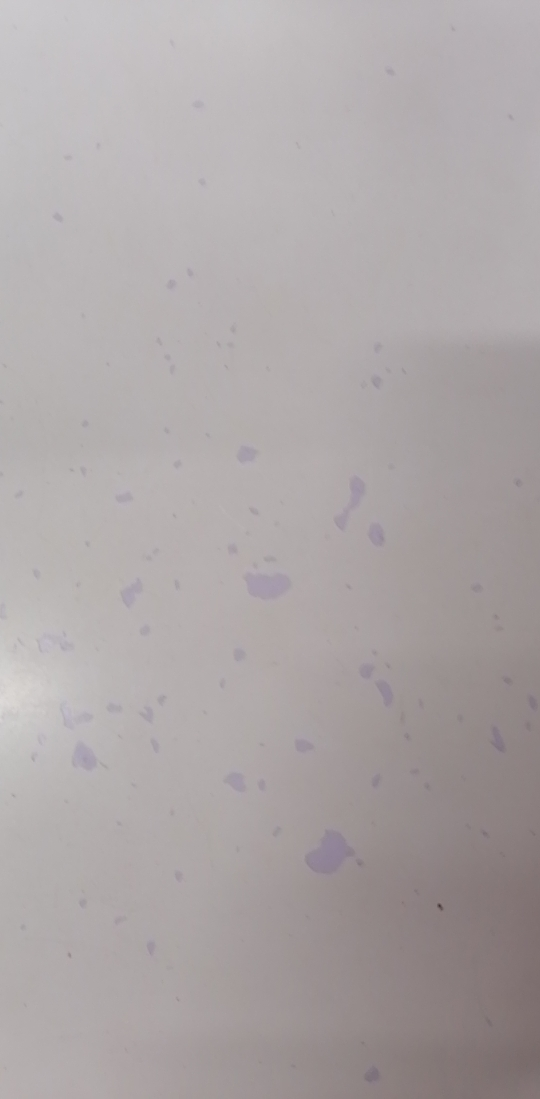 ABC卫生护垫女劲吸茶树精华超薄透气kms抑菌清凉型加长125片N25*5晒单图