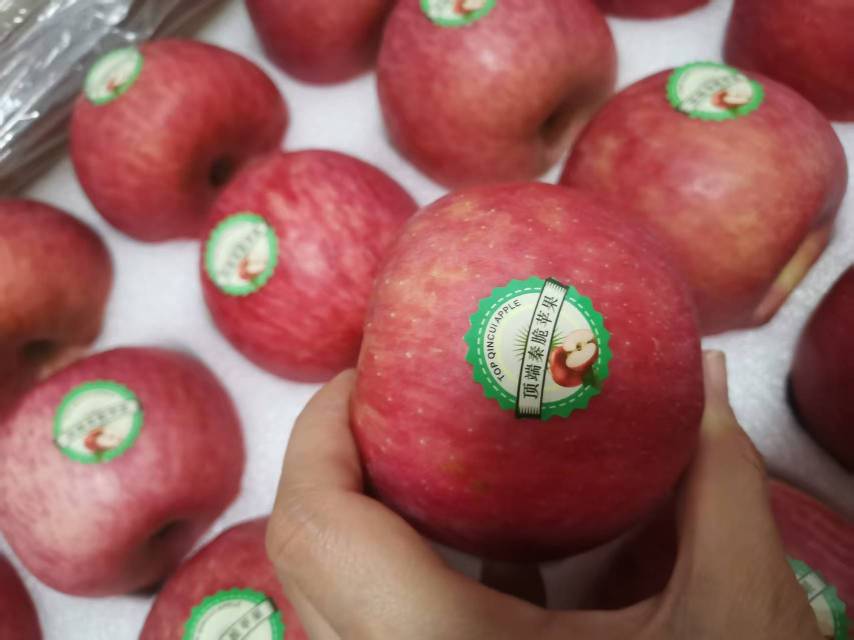 陕西延安洛川新品种秦脆苹果水果 20枚75mm 新鲜脆甜水果晒单图