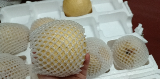 安徽砀山酥梨甜脆多汁可口梨子净重9斤新鲜当季果园直采砀山脆梨水果礼品装福利采购晒单图