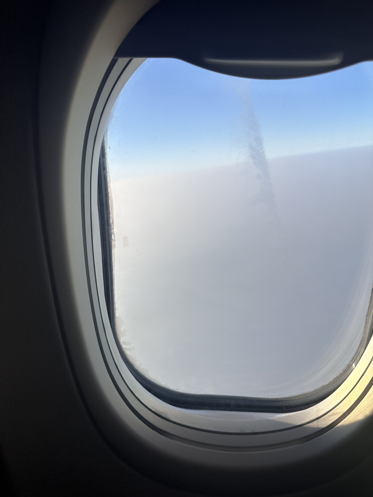 强生婴儿洗发露200克 宝宝洗发水温和无泪配方洗发水洗头晒单图