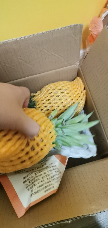 [苏鲜生]海南金钻凤梨 中果 带箱5斤 2-3个装 当季热带水果 香甜可口 产地直发晒单图