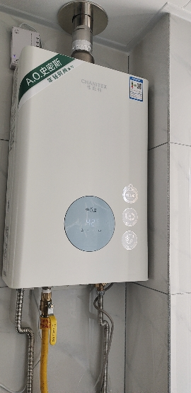 AO史密斯佳尼特16升燃气热水器佳尼特 不锈钢换热器8年包换 恒温大水量 抗风防冻 JSQ31-TC1晒单图