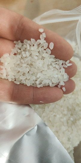 苏鲜生推荐东北大米500g 东北五常米圆粒粳米珍珠寿司米1斤[苏宁自有品牌]晒单图