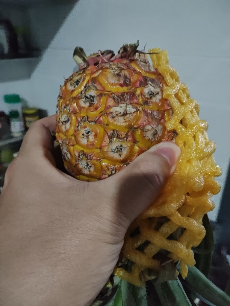 [西沛生鲜]海南手撕凤梨 1个 当季热带水果 香甜可口 产地直发 西沛晒单图
