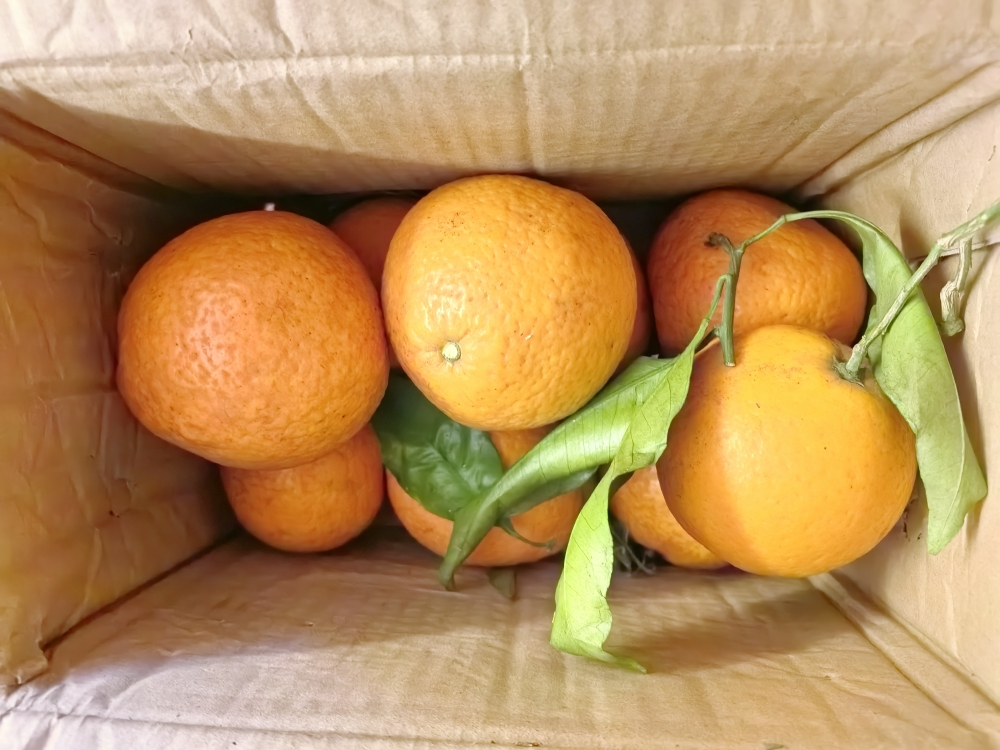 [鲜贝达] 麻阳冰糖橙4.5斤果王[单果70mm+]晒单图