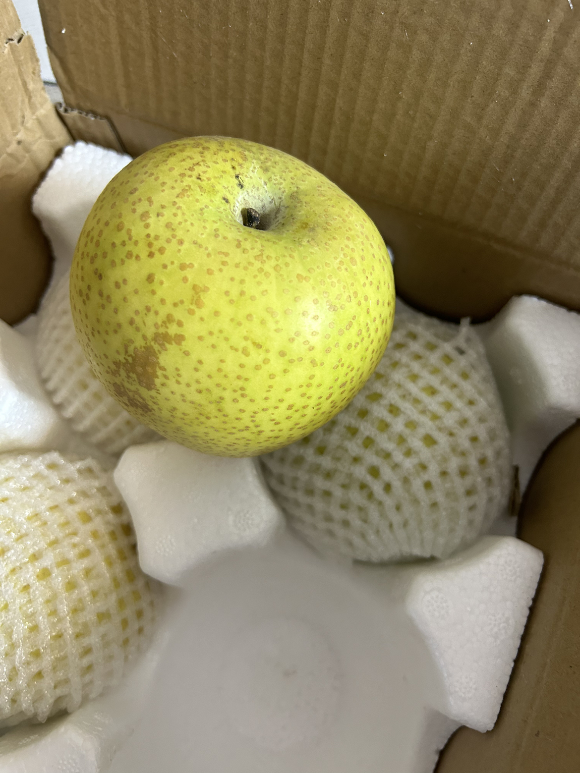 青皮蜜梨砀山翠冠梨净重4.5斤新鲜当季果园直采脆梨水果 甜脆多汁 皮薄肉厚 送礼公司福利采购晒单图