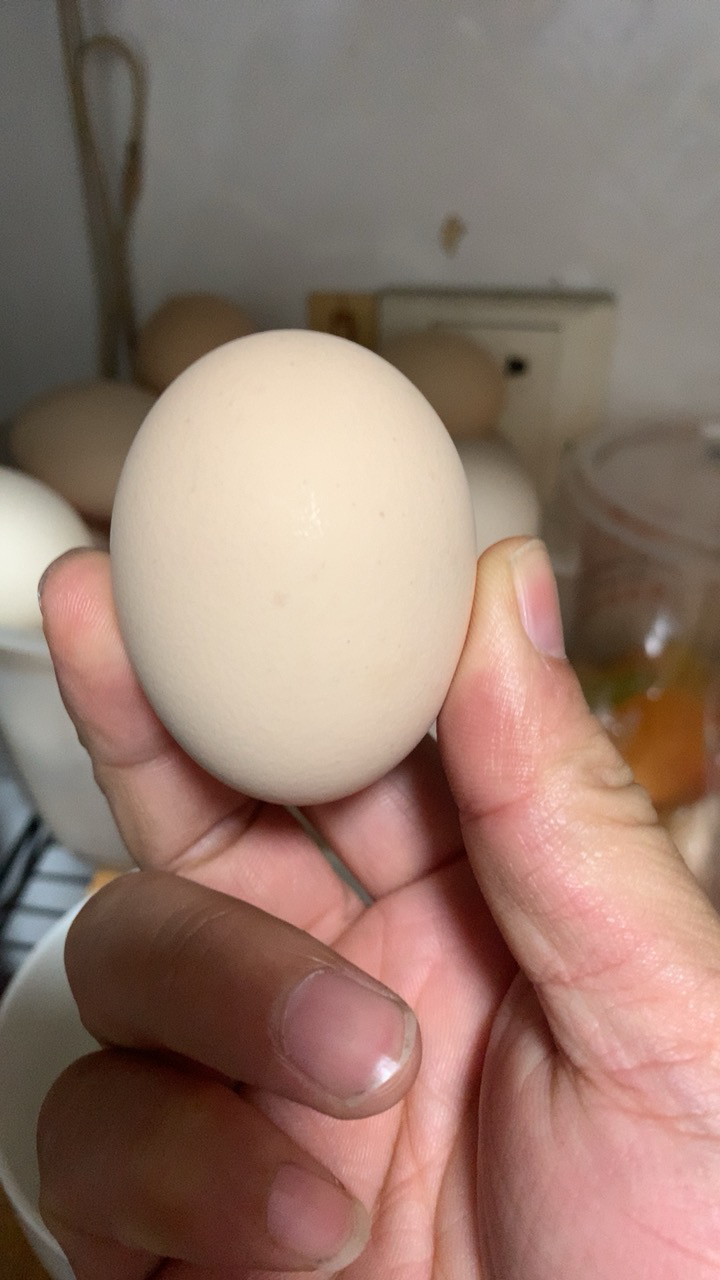 苏宁超市自营 晋龙 新鲜鸡蛋10枚红心蛋非农家散养鸡蛋晒单图