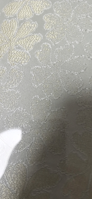 2025新茶上市狮峰牌绿茶特级龙井茶叶杭州明前龙井43号正宗春茶罐装50g晒单图