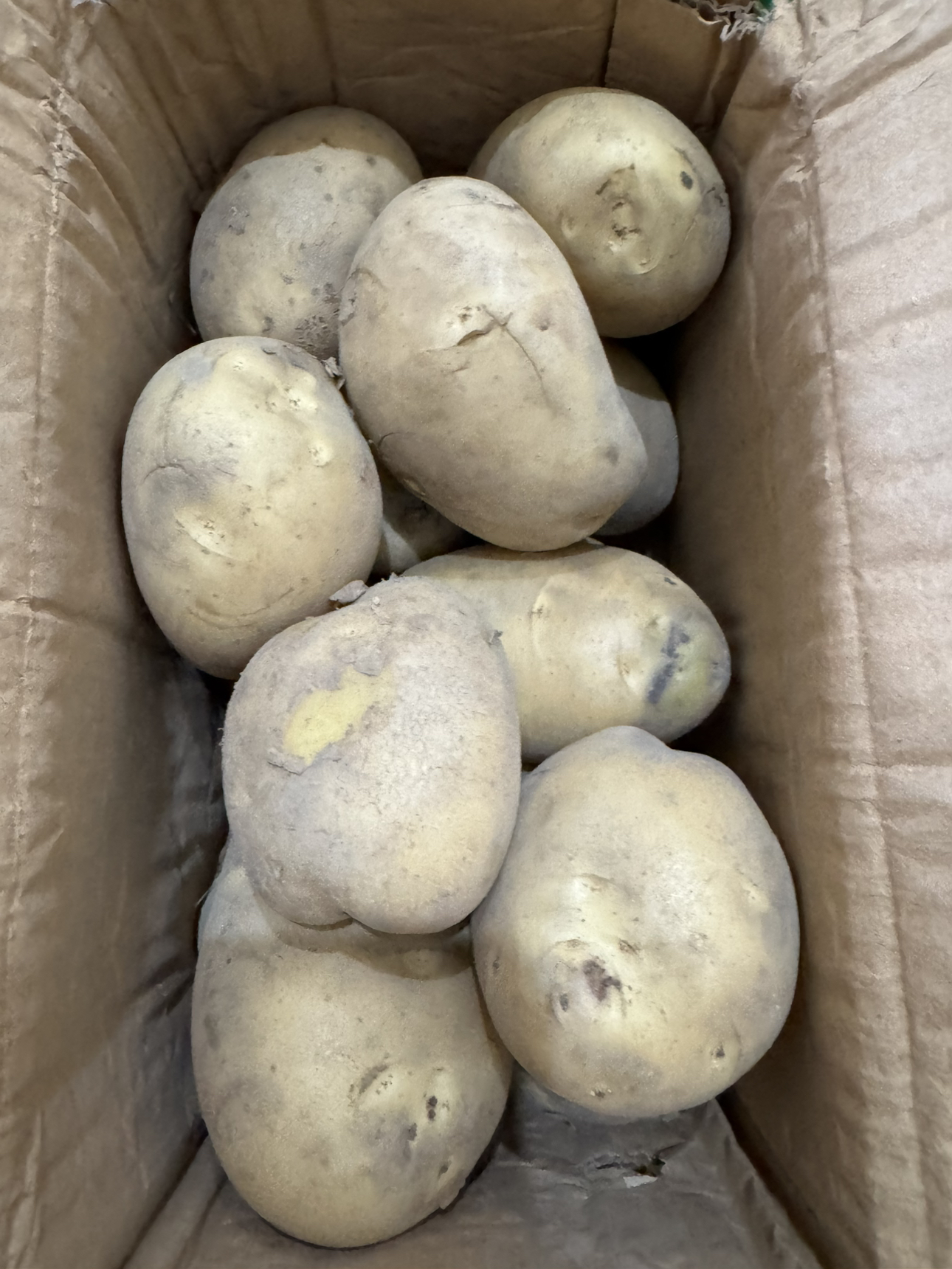 [西沛生鲜]云南黄皮黄心土豆 软糯洋芋 大果 5斤 单果100-200g 新鲜马铃薯 当季蔬菜 西沛晒单图