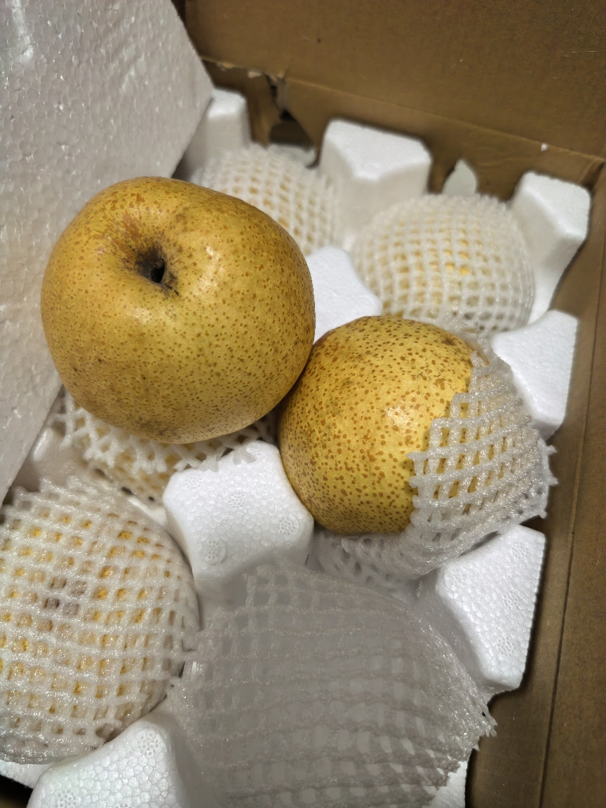 安徽砀山酥梨甜脆多汁可口梨子新鲜当季果园直采砀山脆梨水果晒单图