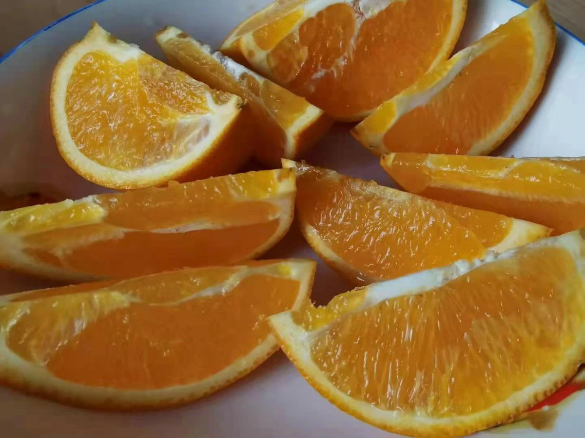 [中华特色馆]秭归馆 一苇农佳 秭归脐橙四季时令鲜橙5斤纸箱装(65-70mm)中果 产地直发 新鲜采摘 华中晒单图